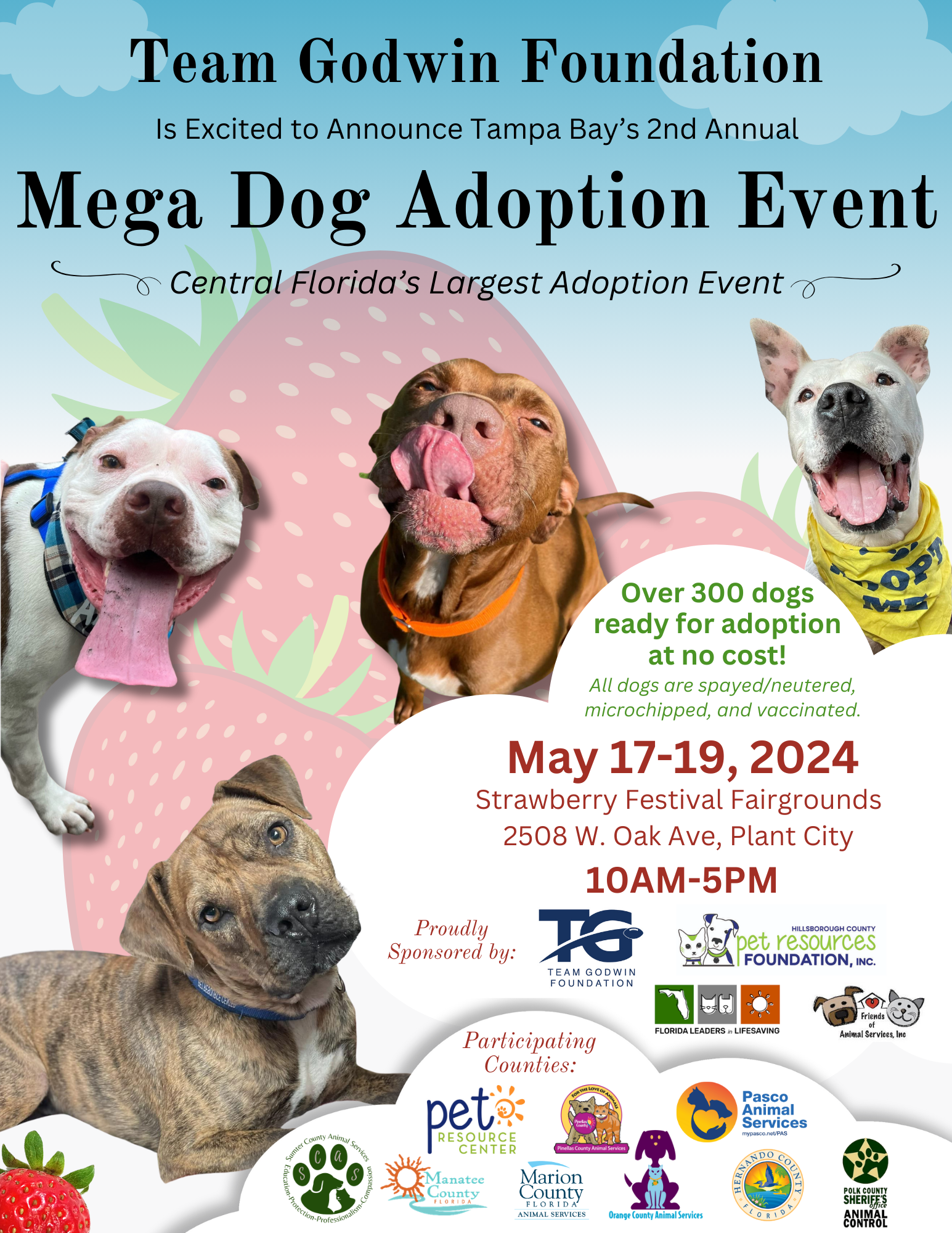 dog adoption event 